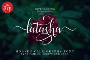 Latasha Font: Elevating Web Design with Script Amp