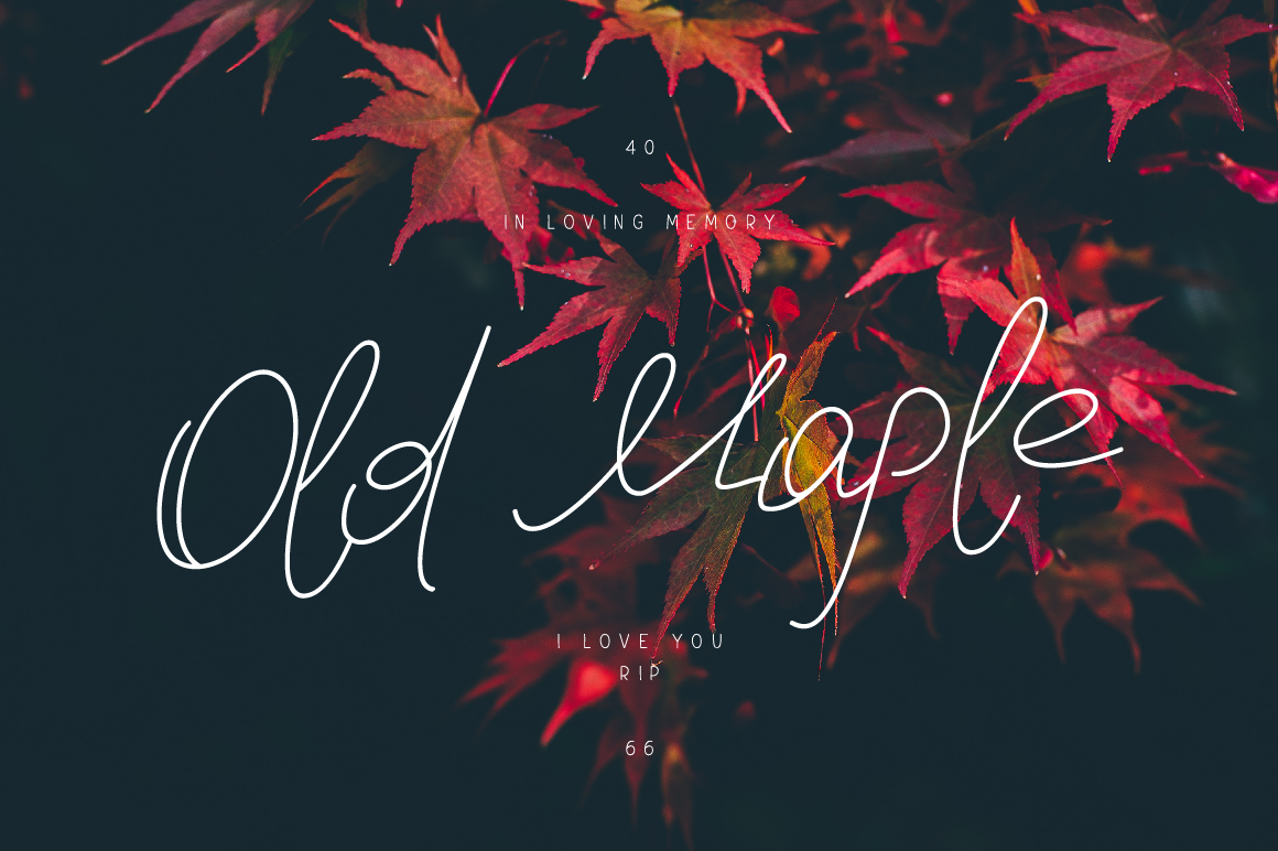 Old Maple: A Handwritten Font for Editorial Design