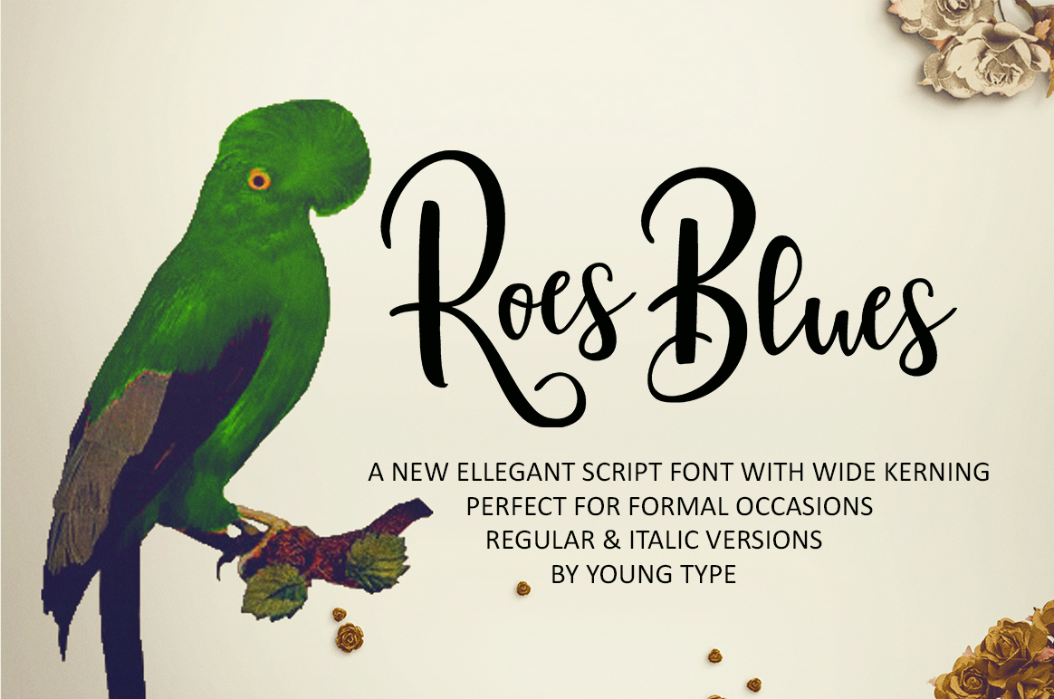 Roes Blues: A Script Font for Modern Campaigns