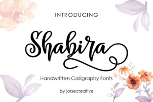 Shabira Typeface: Elevate Your Brand Visuals
